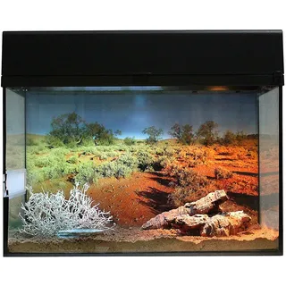 Lucky Reptile Starter Kit Wüstengecko, Farbe:Schwarz