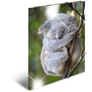 A4 koala