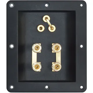 Dynavox Lautsprecher Anschluss Terminal Bi-Amping