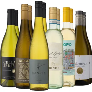 12er-Probierpaket »Ewiger Weinsommer«