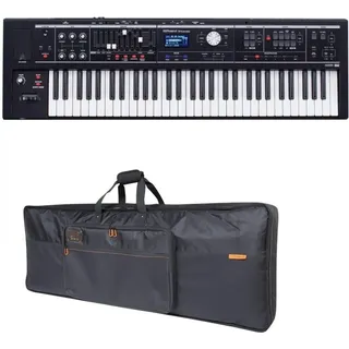 Roland VR-09-B