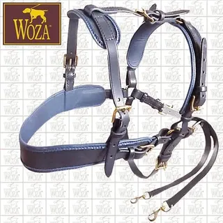 Premium Neufundländer Ledergeschirr Handgenäht WOZA Vollleder Messing  GN01268