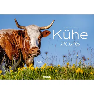 Heel Verlag GmbH Kühe Kalender 2026 Wandkalender