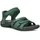 silver pine 37