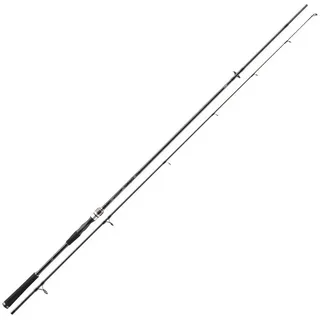 Daiwa Exceler Spin 2.40m 40-80g Spinnrute