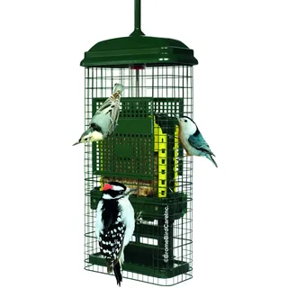 Squirrel Buster Talg Eichhörnchensicher Talg Vogelfutterstation mit Zwei Talgkuchenschalen, Zwei Krümelanschlüssen, schmutzfreies Talgladen, langlebiges grünes Design für hängende Vögel
