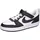 Black/Metallic Gold/Black/White 33,5