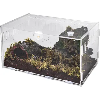 Schnecken Terrarium, Reptile Growth Mini Terrarium, Insekten-Terrariums Set, Transport Box für Spinnen Gecko Hamster Schlangen Schildkröten Tragbarer (20 x 12 x 12cm)