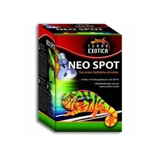 Terra Exotica Neo Spot - Terrarien-Reflektorstrahler mit UV-Strahlung für Terrarienbewohner - Wärme- und Lichtquelle für Ihr Terrarium 25W, 40W, 60W, 75W, 100W und 150 Watt (1, 40 W)