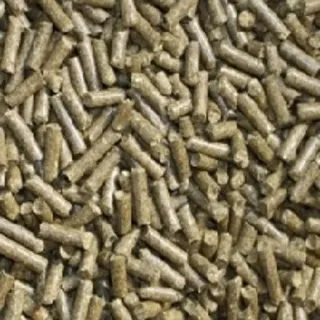 Karottensticks (Karotte Kräuter) 50g Pellets für Garnelen Krebse Schnecken & Co Futtersticks
