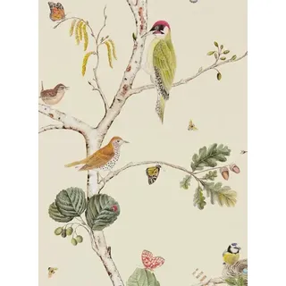 Tapete Woodland Chorus von Sanderson - Cream/ Multi