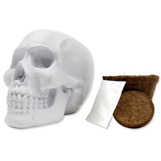 Gift Republic Totenkopf / Pflanzset 17089