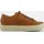 cognac 36