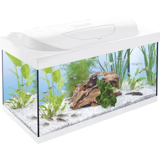 Tetra Starter Line 54 L Aquarium Weiß, Komplett-Set - inkl. Tag- & Nachtlicht LED-Beleuchtung, Innenfilter, Heizer, Fischfutter und Wasseraufbereiter