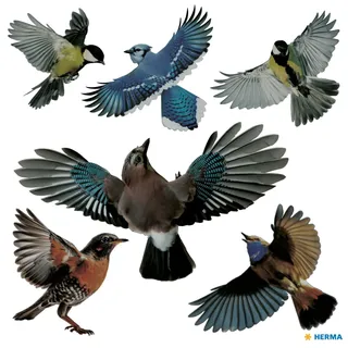 Herma 15539 Dekorativer Aufkleber Film Mehrfarbig Entfernbar