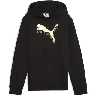 Puma Hoodie Black-metallic Gold 128