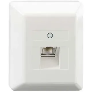 Rutenbeck Anschlußdose UAE 8(8) Ap rw