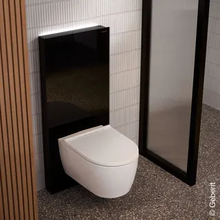 Geberit Monolith Plus Sanitärmodul für Wand-WC, 131231SJ7,