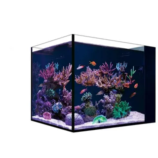 red sea europe Red Sea Desktop Aquarium Set Peninsula