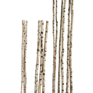 iWerk Birkenstamm 90 cm – ø 2-4 cm Birkenholz Birke Deko Holz