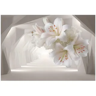 WallArena Fototapete, 3D Abstrakt Beige 200x140 cm,
