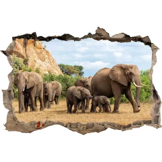 DesFoli Wandtattoo Elefanten Herde inf Afrika - verschiedene Rahmentypen DW000104 Farbe Brauner Stein Querformat, Größe 150 cm x 100 cm