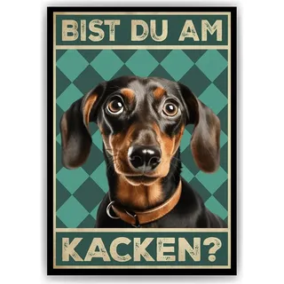 Dackel - Bist du am Kacken? Hunde Poster Badezimmer Gästebad Wandbild Klo Toilette Dekoration Lustiges Gäste-WC Bild DIN A4 – DIN A4 (21x29.7cm)