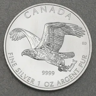 Royal Canadian Mint 1.5 Unzen Silbermünze Kanada Polarbär 2015