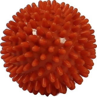 Rehaforum Igelball orange