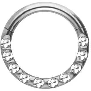 PIERCINGLINE Titan Segmentring Clicker KRISTALLE + EPOXY