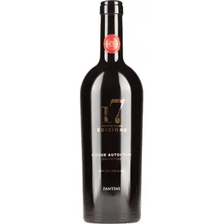vini fantini Edizione Vino Rosso Limited Release 2022 0,75 l