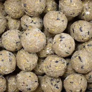 KLASEBO Meisenknödel Premium mit Insekten 100 x ca.90 Gramm ohne Netz, Vogelfutter Wildvogelfutter, Fettfutter