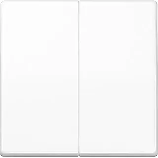 Jung Taster AS 1702 WW