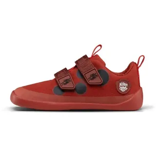 Marienkäfer Rot 32