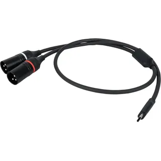 DAP AUDIO DAP FL112 USB-C to 2 XLR/M 3P 1,5m (1.50 m, XLR Kabel)