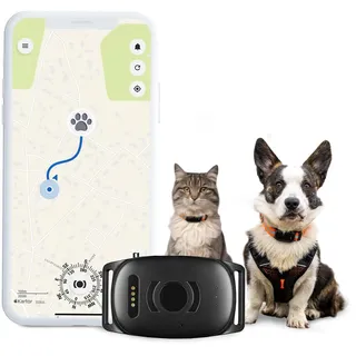 MiniFinder Atto Pro GPS Tracker Haustiertracker, Live Tracking Schwarz 1St.