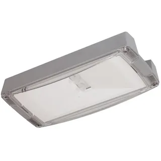 Ceag Notlichtsysteme LED-Einzelbatterie-Leuchte AtlanticLED OCGLine+