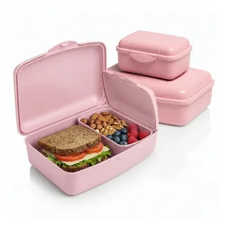 Hausfelder Lunchbox Brotdosen 4er Set hoch rosa, Kunststoff, (4er Set, 4-tlg., 2 große Brotdosen und 2 kleine Snackboxen), spülmaschinengeeignet, langlebig, bruchfest, BPA-frei rosa