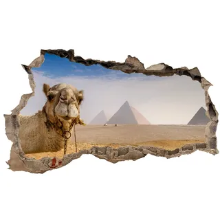 3D Wandtattoo Mauerloch Wandsticker Wandaufkleber Durchbruch Tiere selbstklebend H 60 x B 100 Schlafzimmer Wohnzimmer (WL45 Kamel)