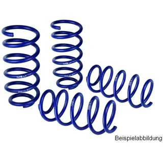 H&R Fahrwerksatz, Federn Tieferlegungsfedersatz