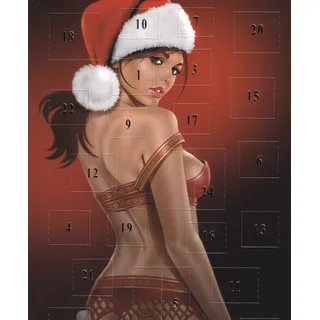 sticker-dealer Adventskalenderkarte Pinup's Weihnachten Adventskarte
