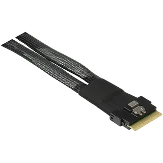 Inter-Tech Intertech Kabel SFF 8643 - SFF 8643 1m (88885640)