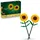 Sonnenblumen 40524