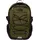 Forest Olive/TNF Black