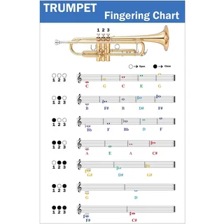 QMG Trompeten-Grifftabelle mit farbcodierten Noten, Trompetentechnik lernen, geeignet für alle Niveaus,