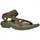 olive 42