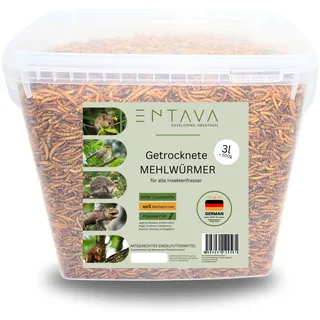 ENTAVA getrocknete Mehlwürmer Premium Qualität - Insektensnack Vögel, Fische, Koi, Schildkröten, Nager, Reptilien, Vogelfutter, Wildvögel, Igelfutter (3 Liter (500g))