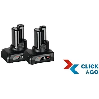 2 x 6,0 Ah 1600A00X7M