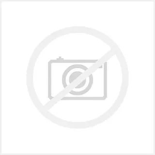 Cisco Arbeitsspeicher 2GB RAM