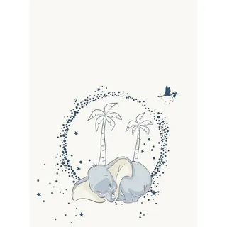 Aymax Disney Dumbo Flauschdecke Schmusedecke Kuscheldecke 110 x 150 cm